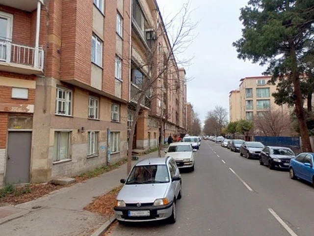 Zaragoza: carril bici en Pedro Cerbuna, la reclamación que reabre el debate en el campus