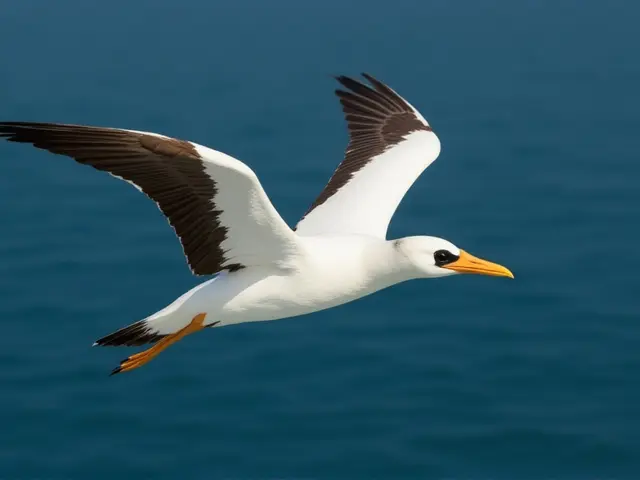 Wisdom, la albatros de 74 años, rompe récords al criar en Midway